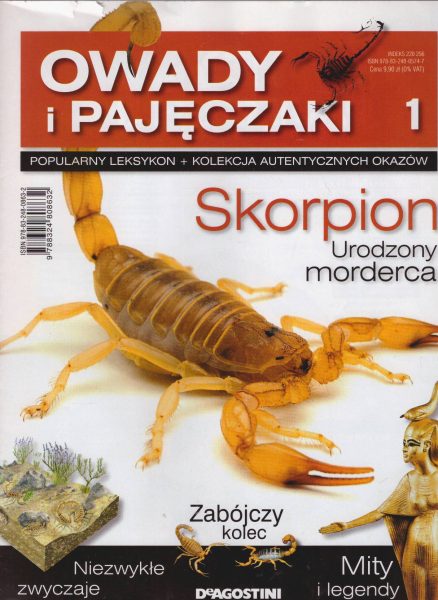 OWADY i PAJĘCZAKI. Popularny leksykon + Kolekcja autentycznych okazów.