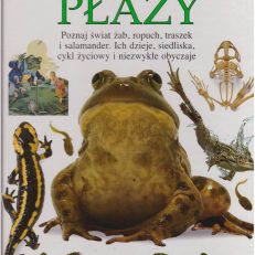 PŁAZY.