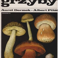 Poznajemy grzyby.