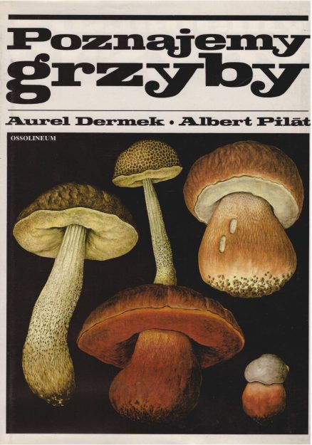 Poznajemy grzyby.