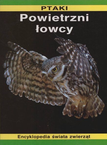 Ptaki. Powietrzni łowcy.