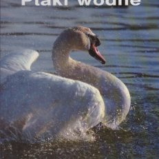 Ptaki. Ptaki wodne.