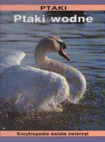 Ptaki. Ptaki wodne.