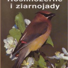 Ptaki. Roślinożerne i ziarnojady.