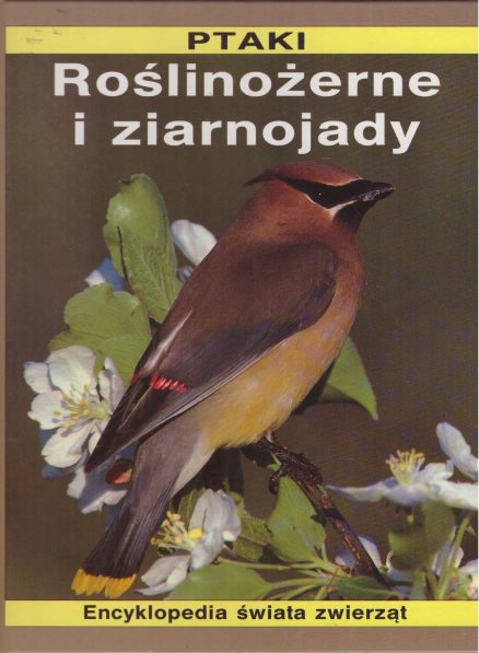 Ptaki. Roślinożerne i ziarnojady.