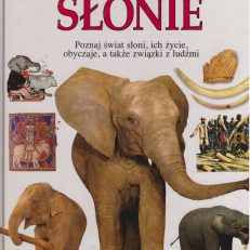 SŁONIE.