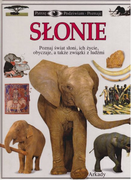 SŁONIE.
