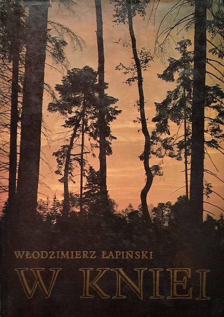 W kniei.