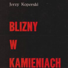 Blizny w kamieniach.