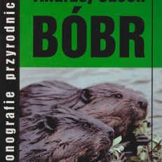 Bóbr.