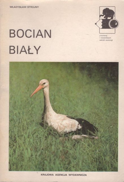 Bocian biały.