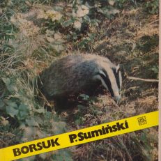 Borsuk. Wydanie II.