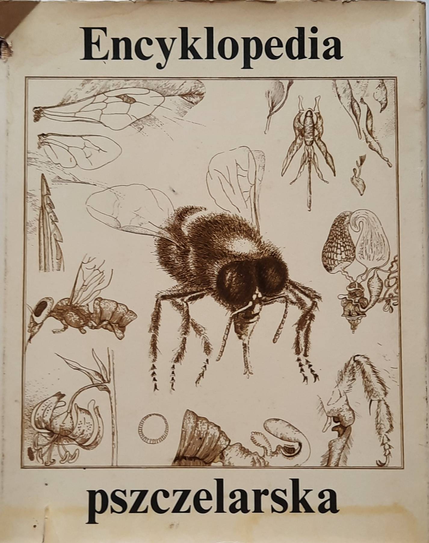 ENCYKLOPEDIA pszczelarska.