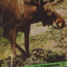 Łoś.
