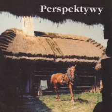 PERSPEKTYWY.