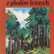 Przetwory z płodów leśnych.