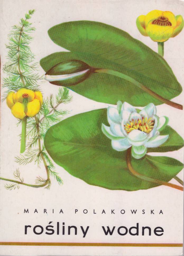 Rośliny wodne.