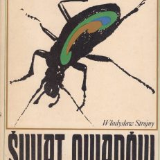 Świat owadów.