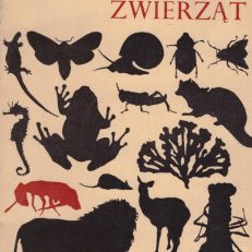 Wielka wojna zwierząt. O miejsce na ziemi.