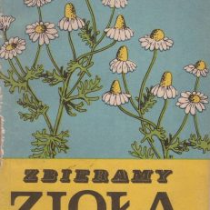 ZBIERAMY zioła. Instrukcja o zbiorze ziół dziko rosnących.
