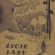 Życie lasu.