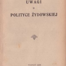 Uwagi o polityce żydowskiej.