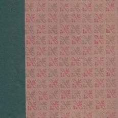 Zestaw 14 prac toponomastycznych publikowanych w różnych opracowaniach zbiorowych (odbitki, nadbitki, wyimki).