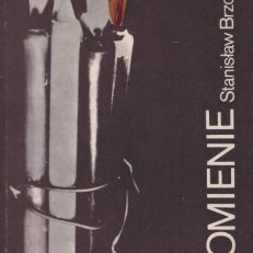 PŁOMIENIE. Z papierów po Michale Kaniowskim wydał i przedmową poprzedził Stanisław Brzozowski. Tom 1 i 2.