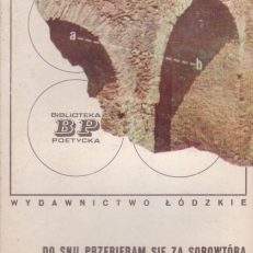 Do snu przebieram się za sobowtóra.