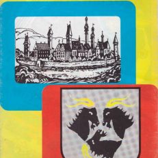 KĘDZIERZYN-Koźle. Plan miasta. Skala 1:20 000. Poboczny plan centrum w skali 1:10 000.