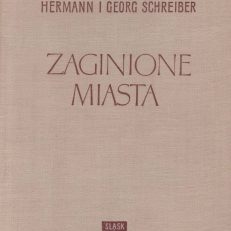 Zaginione miasta. Książka o chwale i upadku.