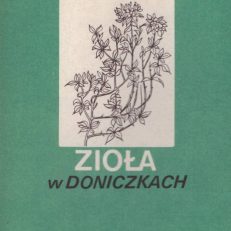 Zioła w doniczkach.