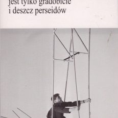 Jest tylko gradobicie i deszcz perseidów.