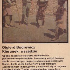 Kierunek: wszędzie.