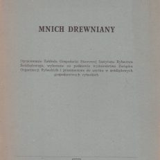 MNICH drewniany.