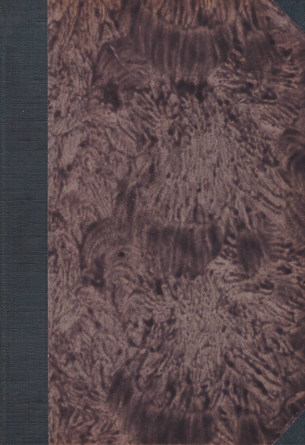 WIERCHY 1938 rocznik 16. Rocznik poświęcony górom i góralszczyźnie. - obrazek 2