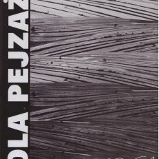 Pola pejzażu. Wspomnienia.