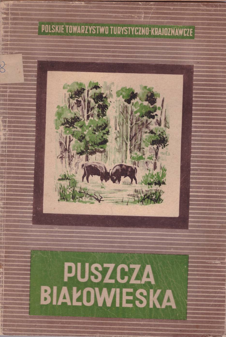 Puszcza Białowieska