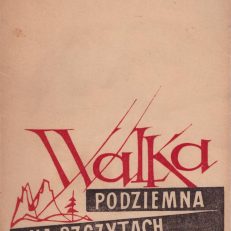 Walka podziemna na szczytach.