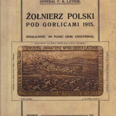Żołnierz polski pod Gorlicami 1915. Działalność 100 Pułku Ziemi Cieszyńskiej.