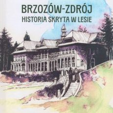 Brzozów-Zdrój. Historia skryta w lesie.