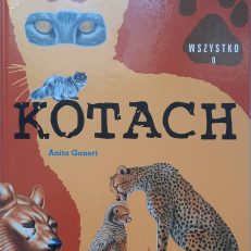 Wszystko o kotach.