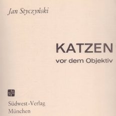 Katzen vor dem Objektiv.