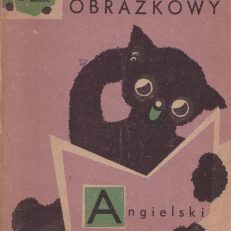 SŁOWNICZEK obrazkowy angielski. Mała mozaika.