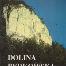 Dolina Będkowska część południowa. Przewodnik wspinaczkowy po skałkach Wyżyny Krakowsko-Częstochowskiej część VIII.