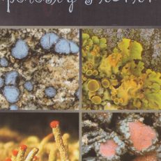 POROSTY Pienin. 16-stronicowa, wielobarwna, bogato ilustrowana (fotografie, rysunki) składanka.