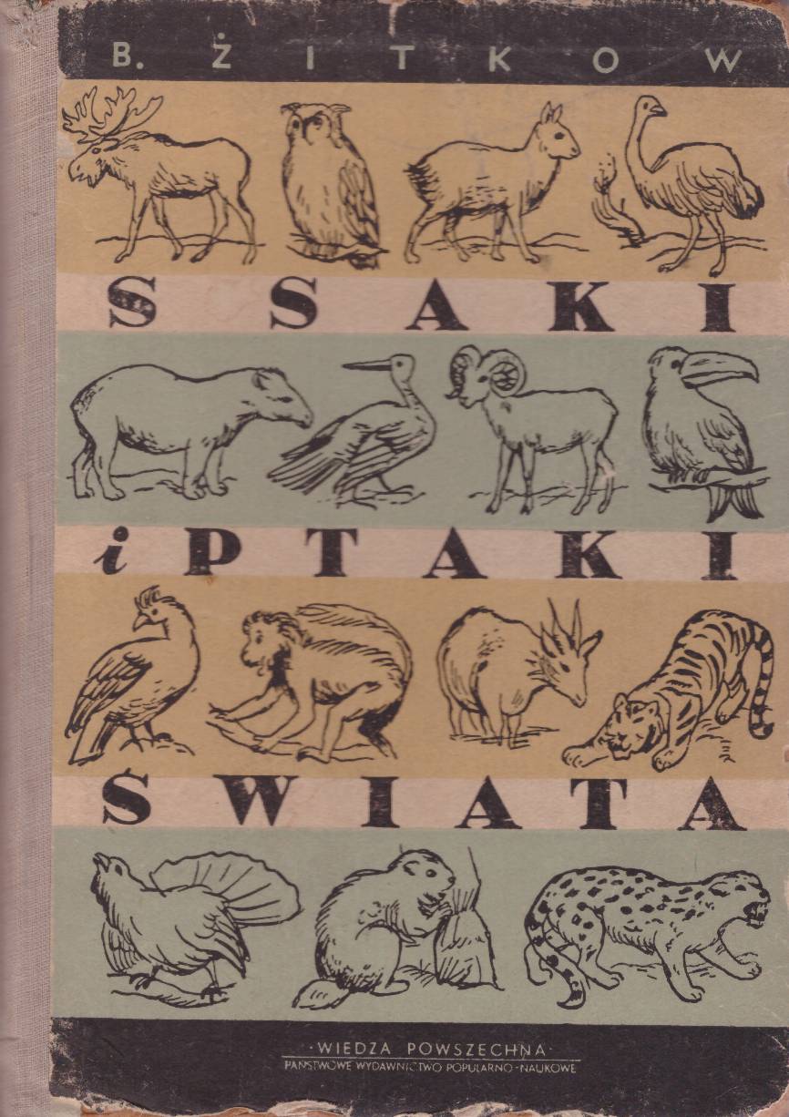 Ssaki i ptaki świata.